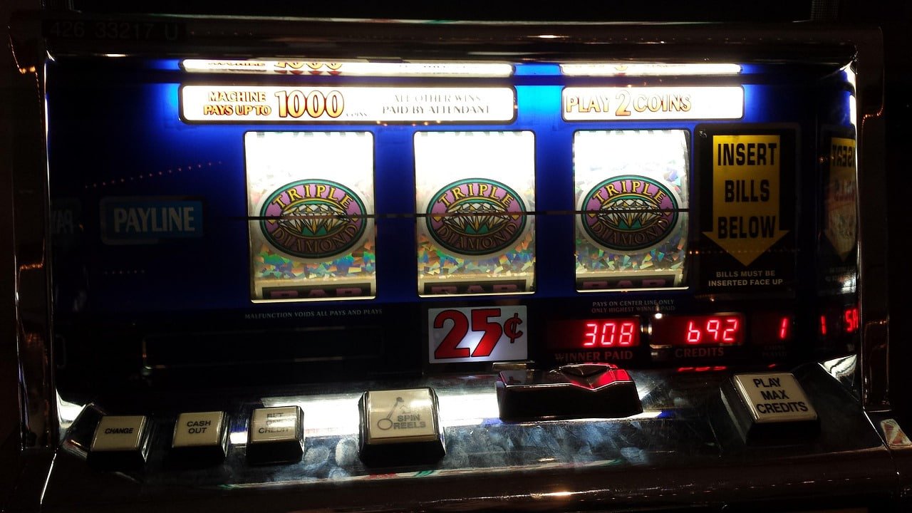 zee66